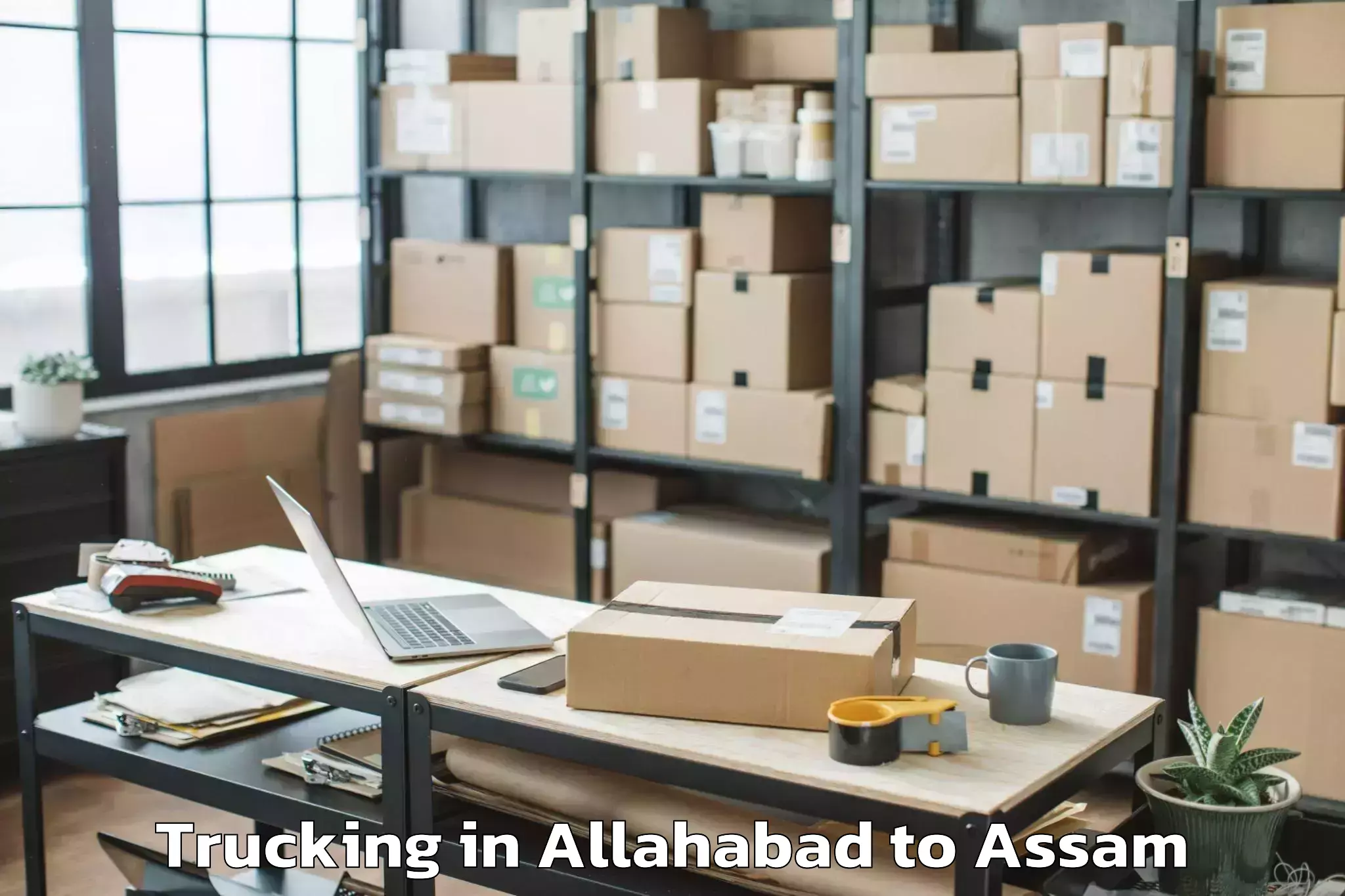 Book Allahabad to Mayong Trucking Online